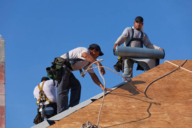 Best Roof Repair Services  in Rushford, MN
