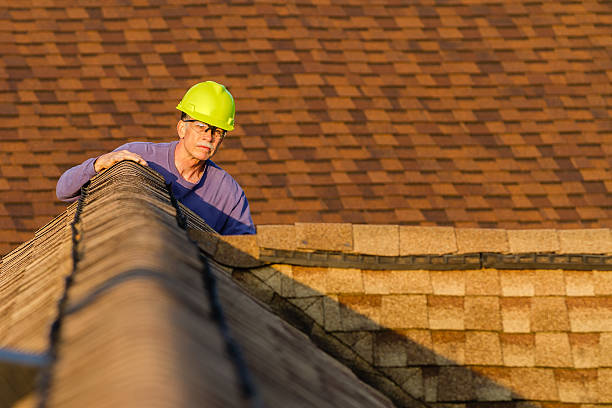 Best New Roof Installation  in Rushford, MN
