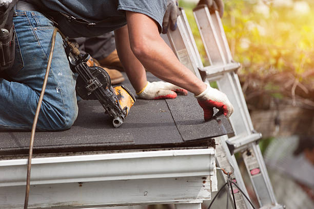 Best Roof Leak Repair  in Rushford, MN